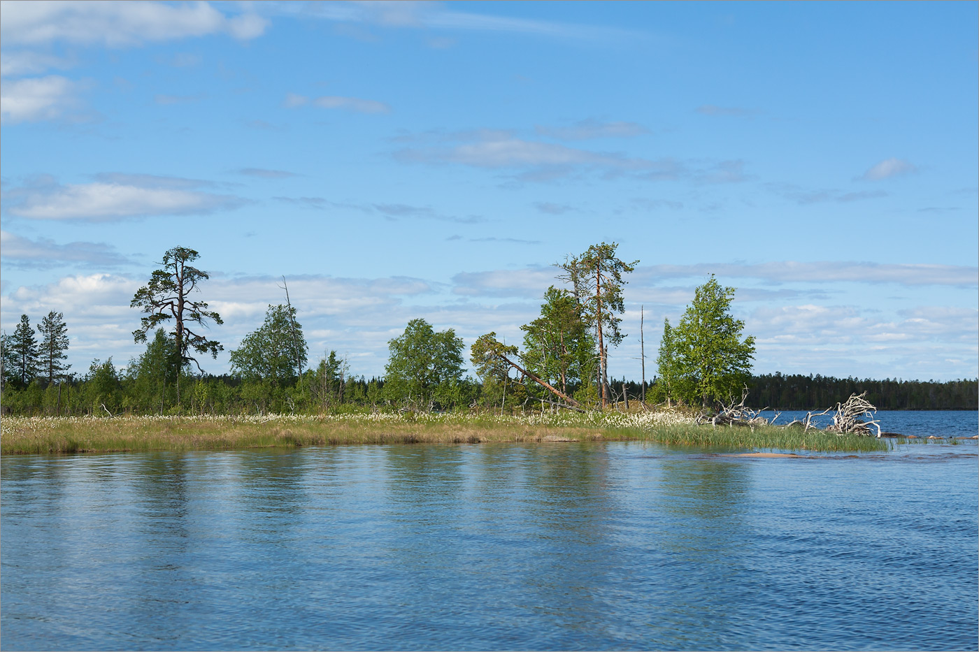 Топозеро, image of landscape/habitat.