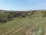 Image of landscape