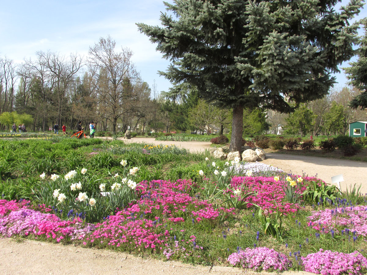 Парк «Салгирка», image of landscape/habitat.