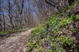 Большой Маркотх, image of landscape/habitat.