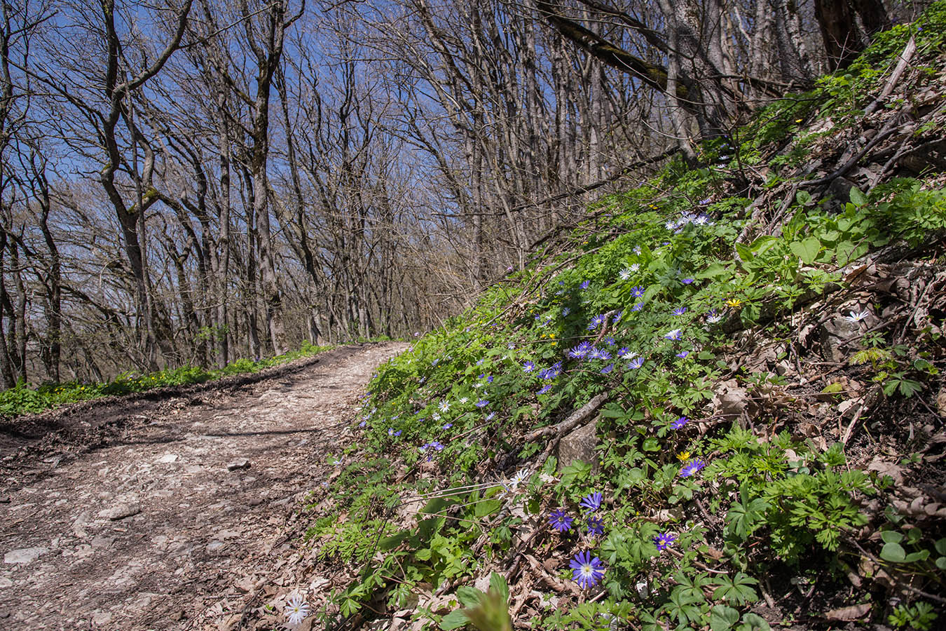 Большой Маркотх, image of landscape/habitat.