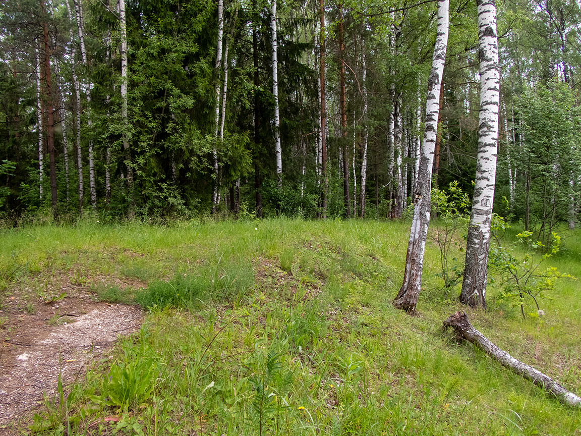 Запрудня, image of landscape/habitat.