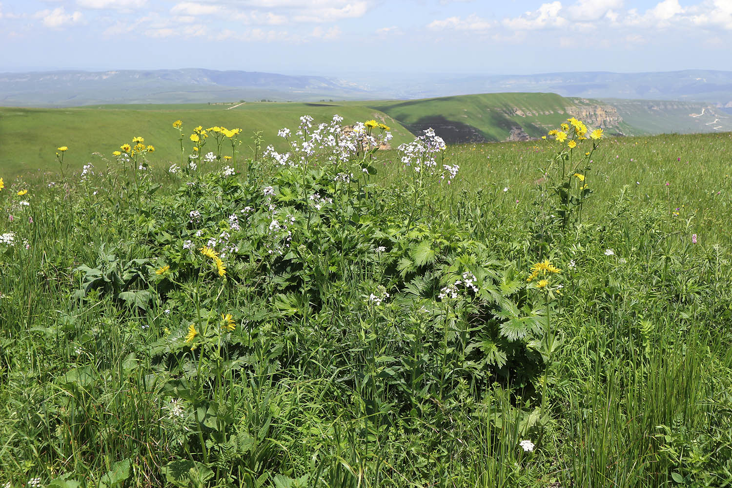 Джисса, image of landscape/habitat.