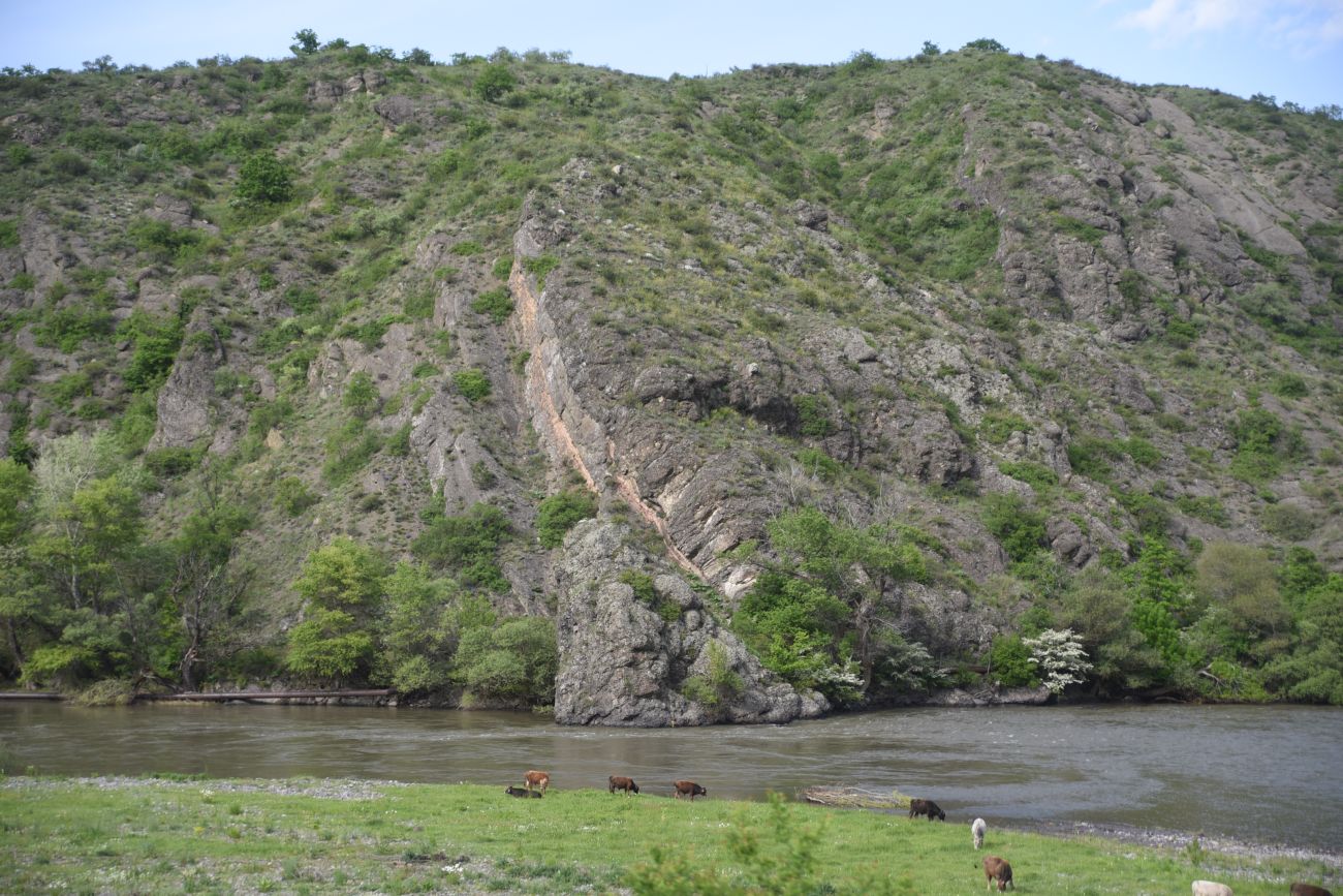 Цнисское ущелье, image of landscape/habitat.