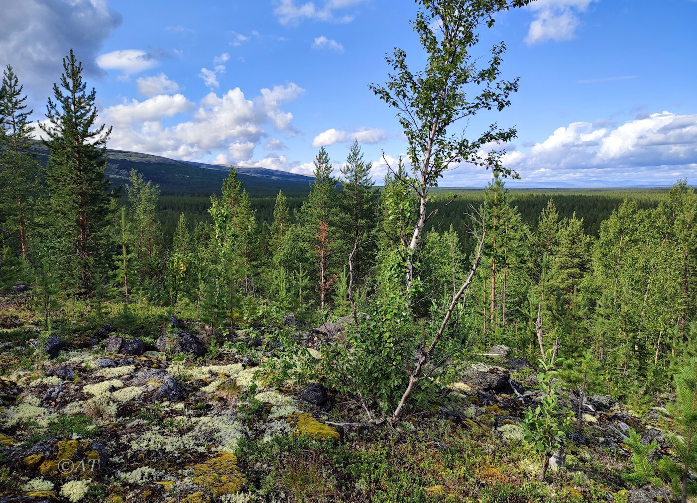 Сев.подножие хребта Путелличорр, image of landscape/habitat.