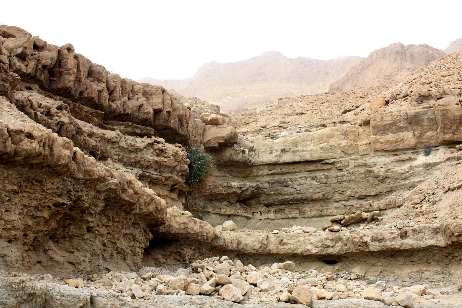 Эйн-Геди, image of landscape/habitat.