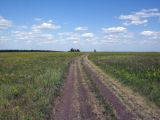 Image of landscape