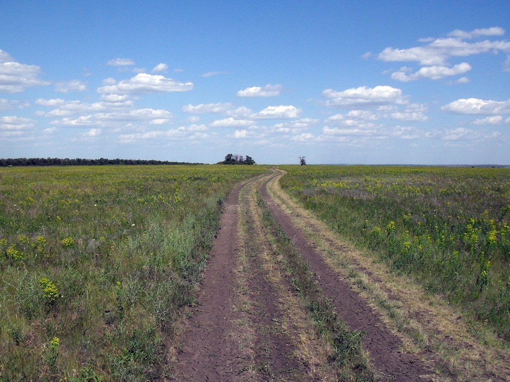 Луганск и окрестности, image of landscape/habitat.