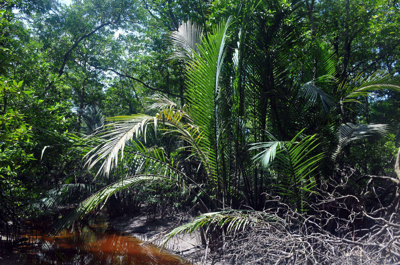 Национальный парк "Бако", image of landscape/habitat.