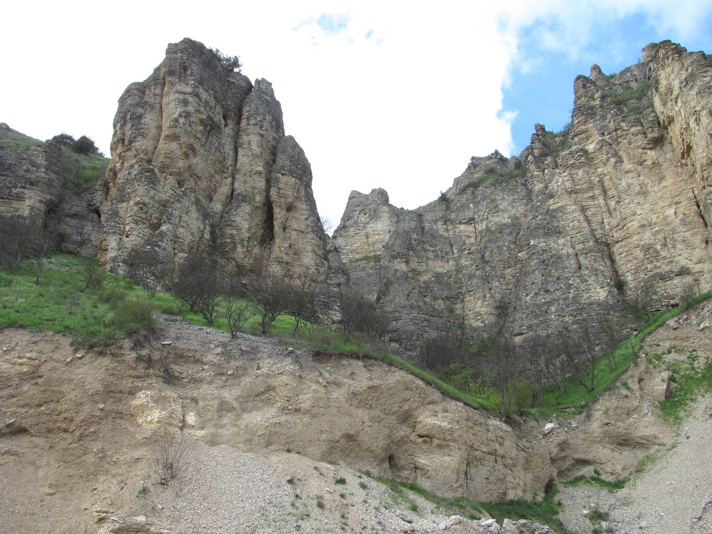 Талги, image of landscape/habitat.