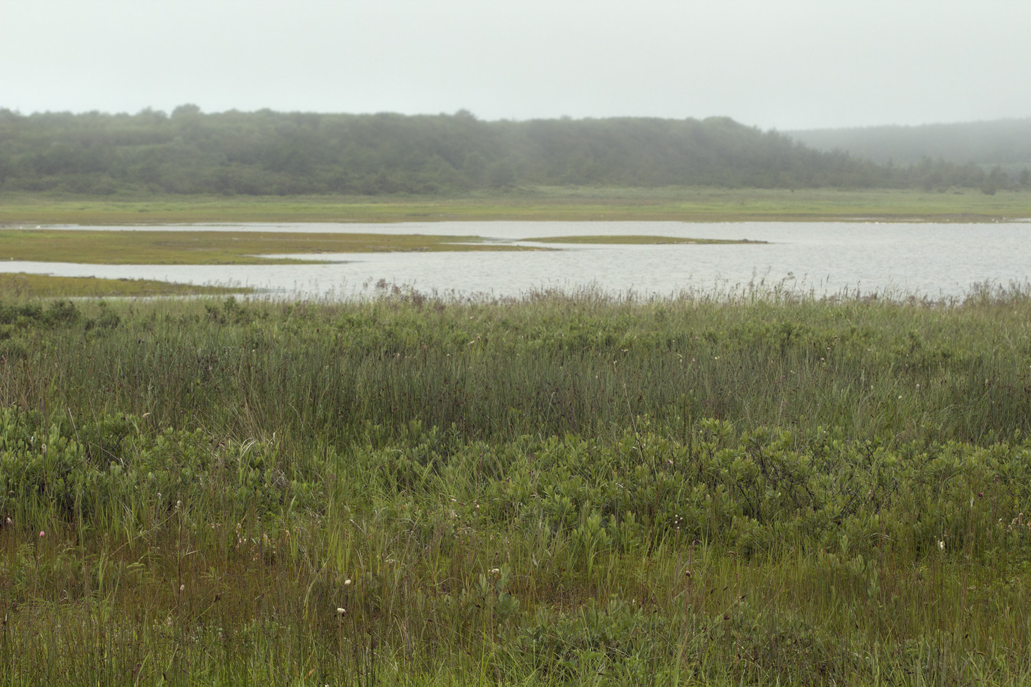 Кету, image of landscape/habitat.