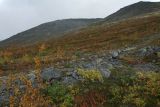 Image of landscape