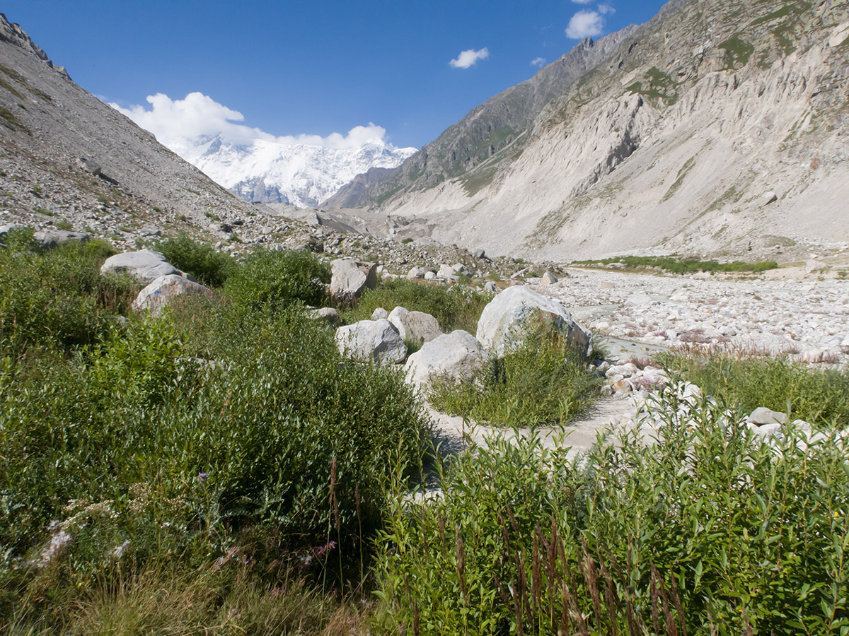 Черек-Безенгийское ущелье, image of landscape/habitat.