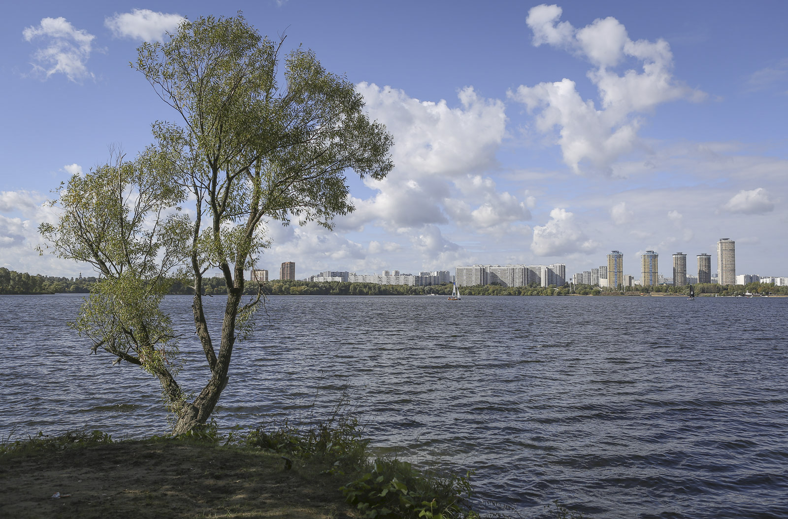 Щукинский полуостров, изображение ландшафта.