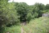 Image of landscape