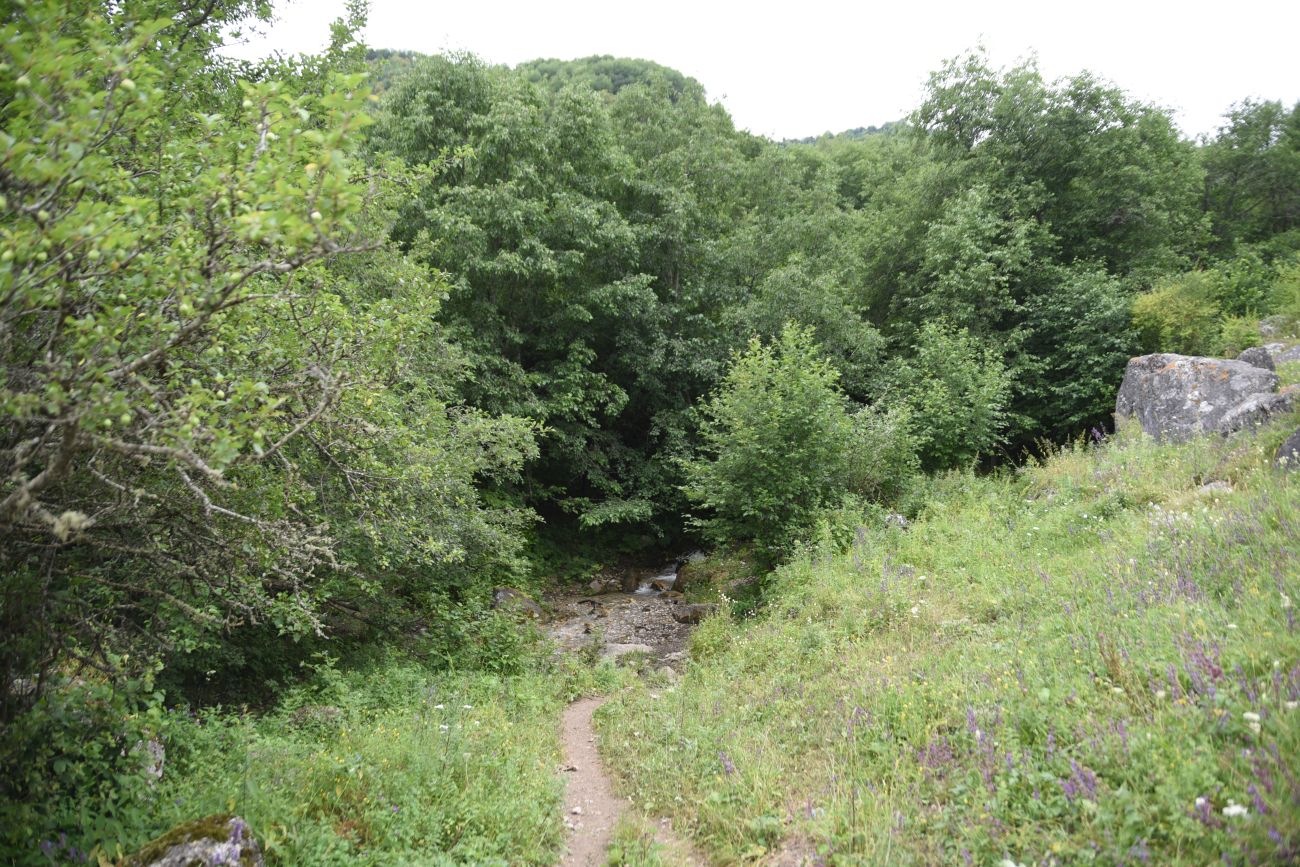 Нижний Кяхк и окрестности, image of landscape/habitat.