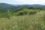 Вышка, image of landscape/habitat.