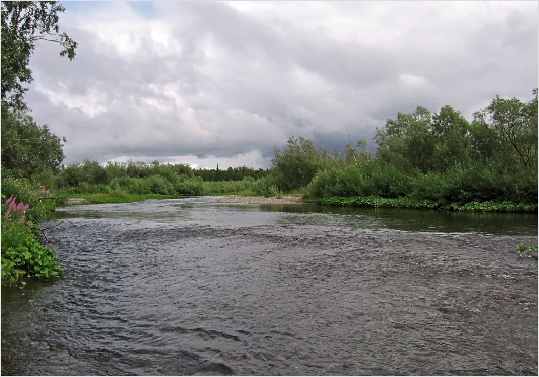 Грубею, image of landscape/habitat.