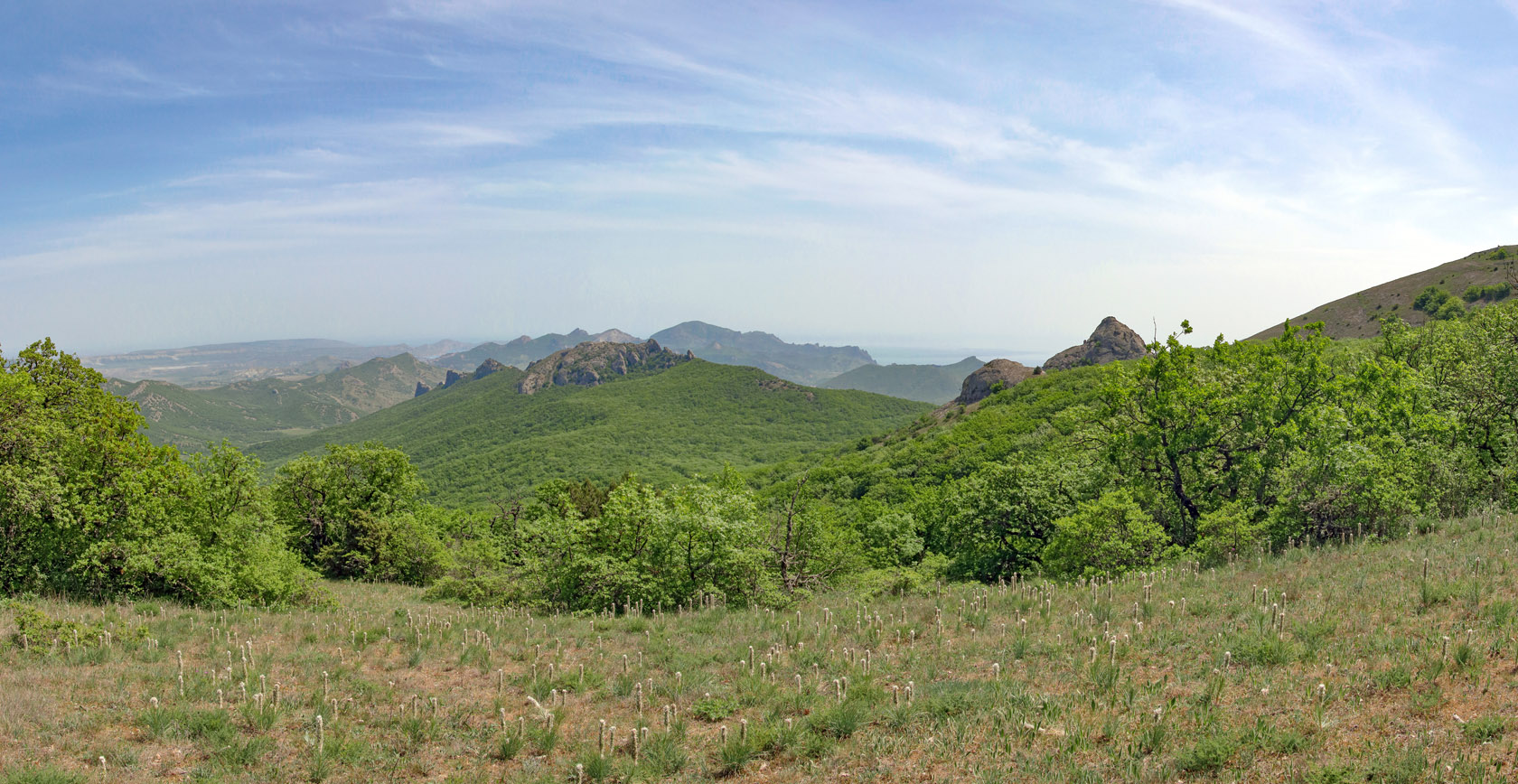 Гора Сандык-Кая, image of landscape/habitat.