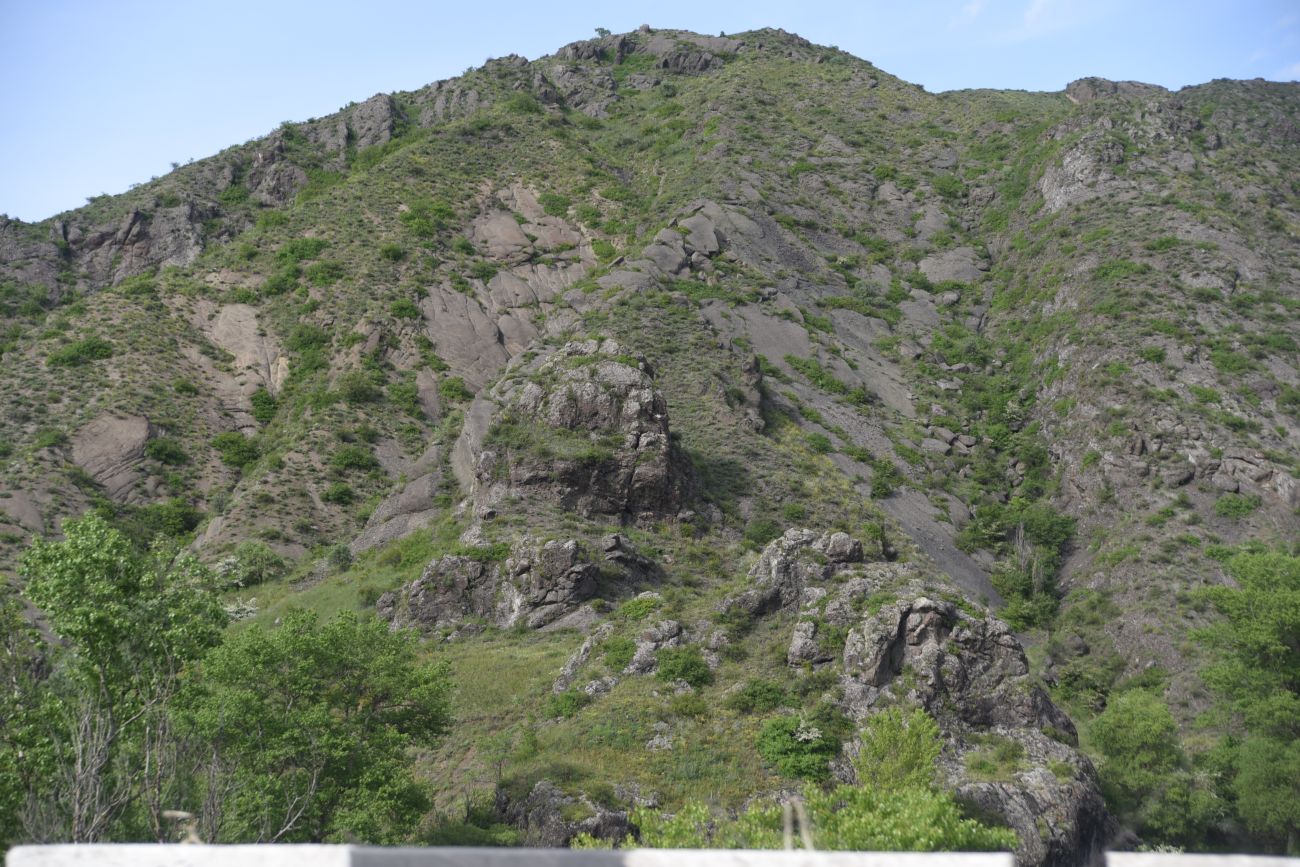 Цнисское ущелье, image of landscape/habitat.