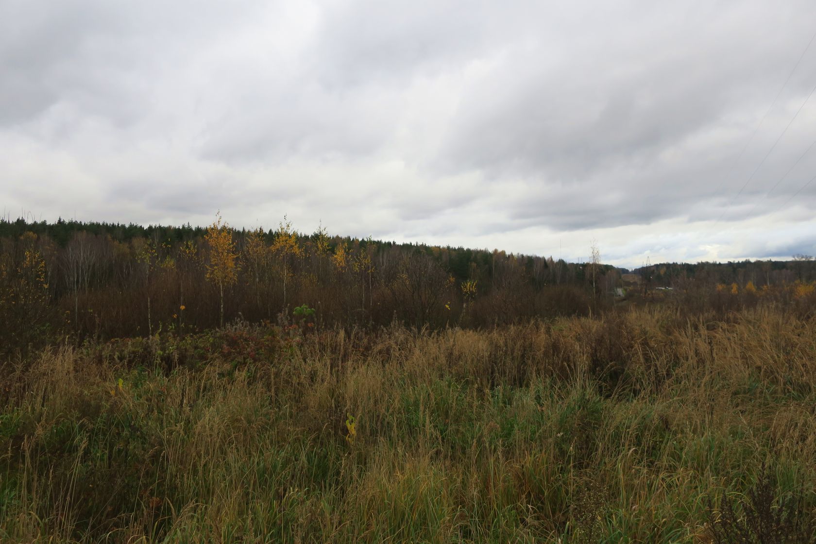 6-й км Красноармейского шоссе, изображение ландшафта.