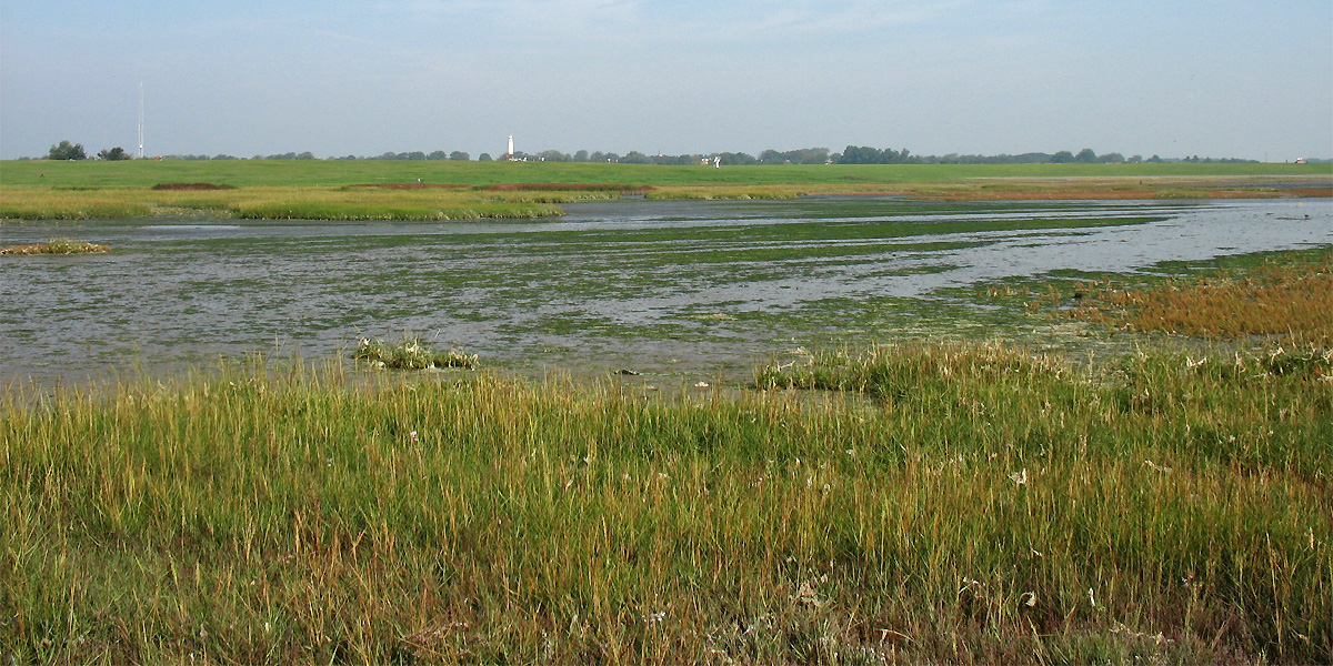 Схирмонниког (Schiermonnikoog), изображение ландшафта.