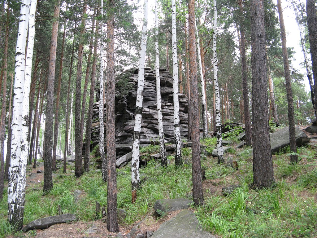 Скалы Петра Гронского, изображение ландшафта.