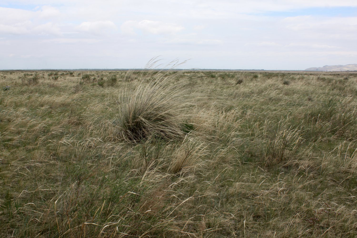 Окрестности Аршаново, image of landscape/habitat.