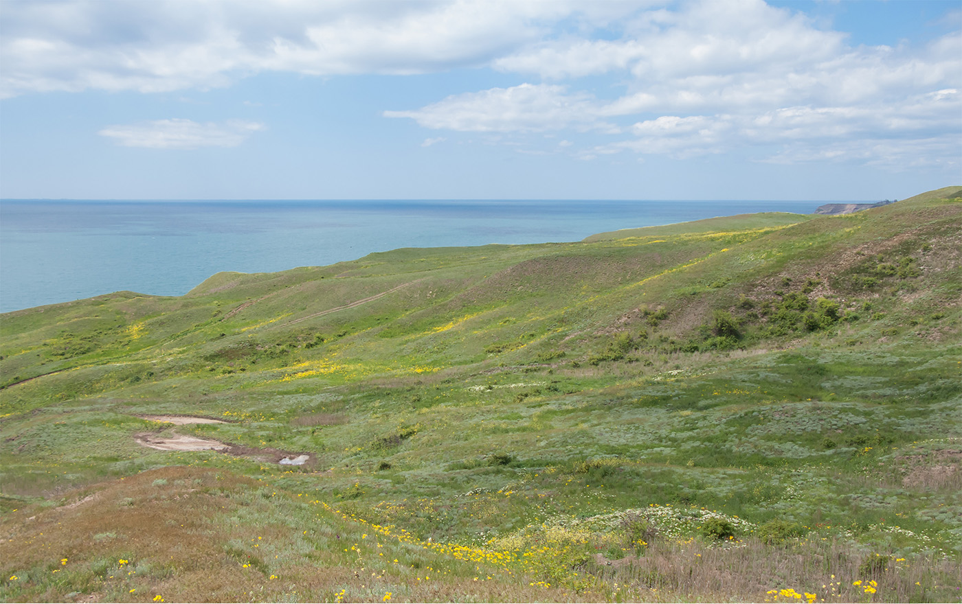 Железный Рог, image of landscape/habitat.