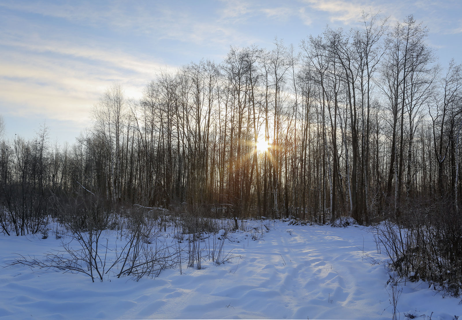 Закамск, image of landscape/habitat.