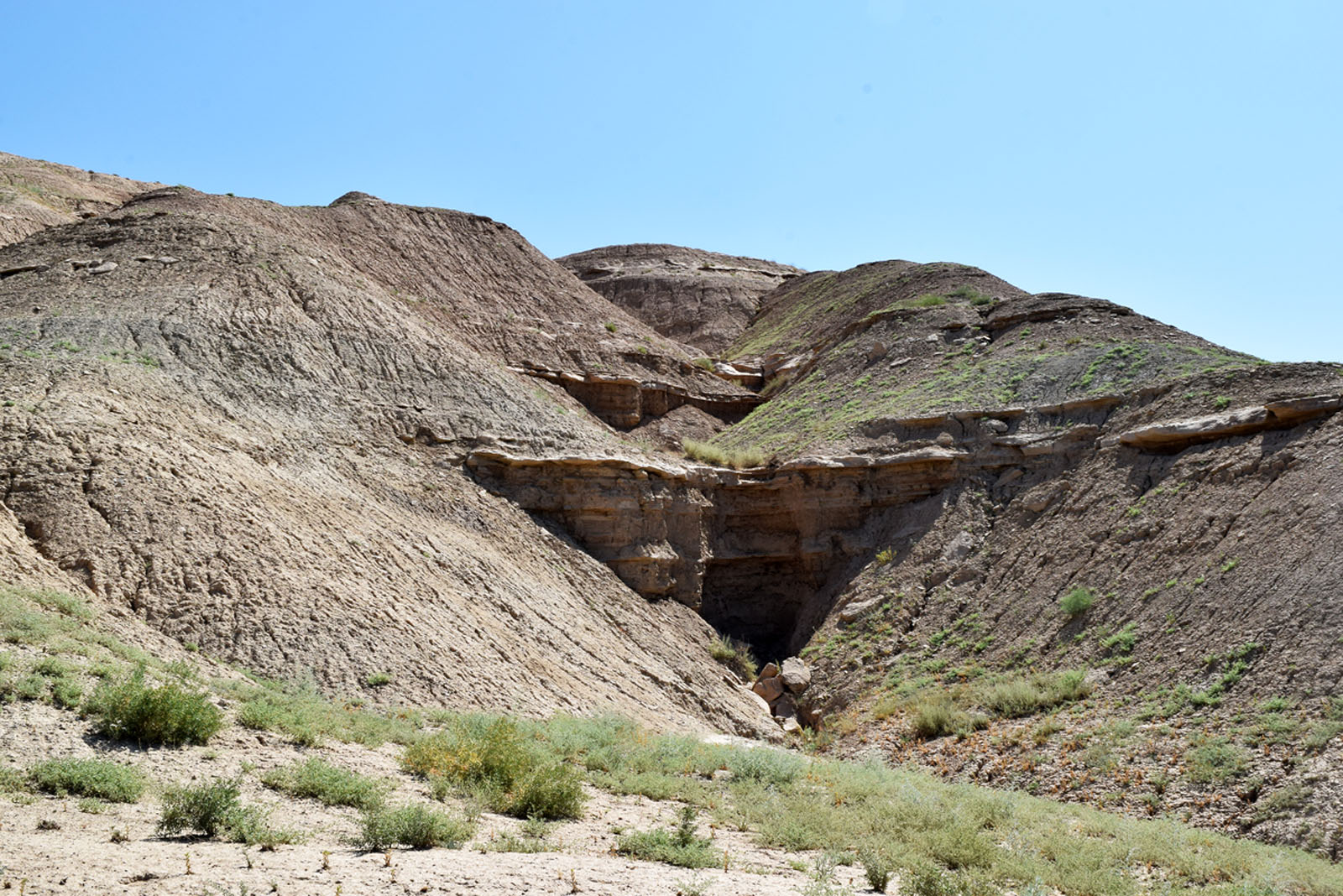 Окрестности местности Жийдабулак, image of landscape/habitat.