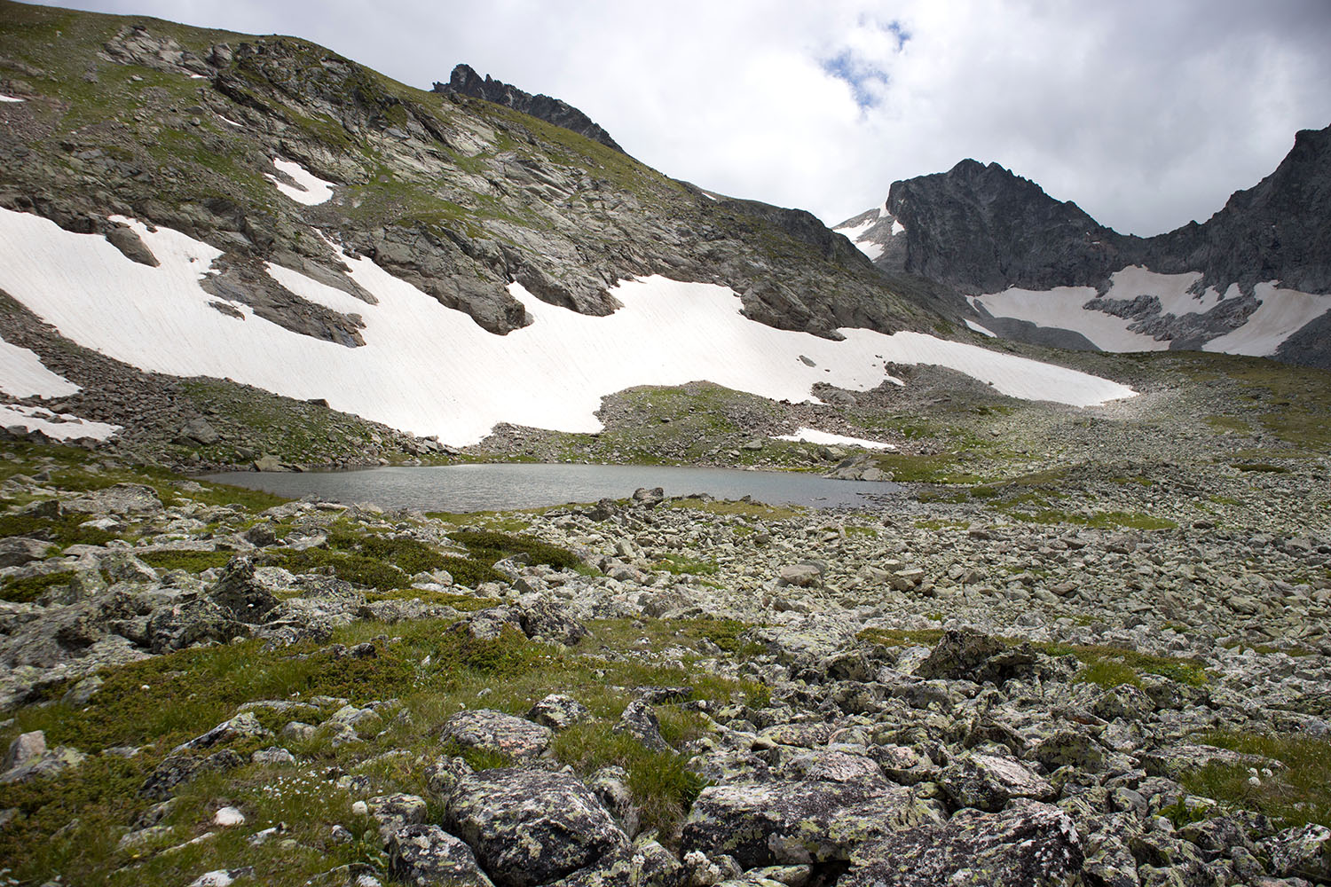 Ривьера, image of landscape/habitat.