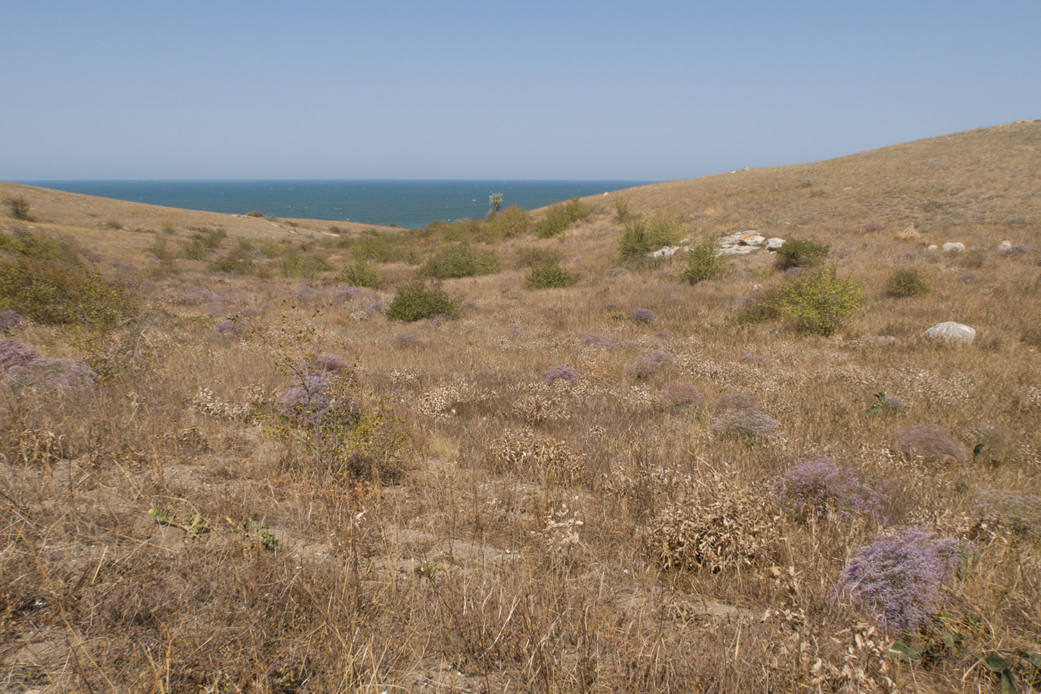 Балка у Генеральских пляжей, image of landscape/habitat.