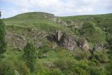 Image of landscape