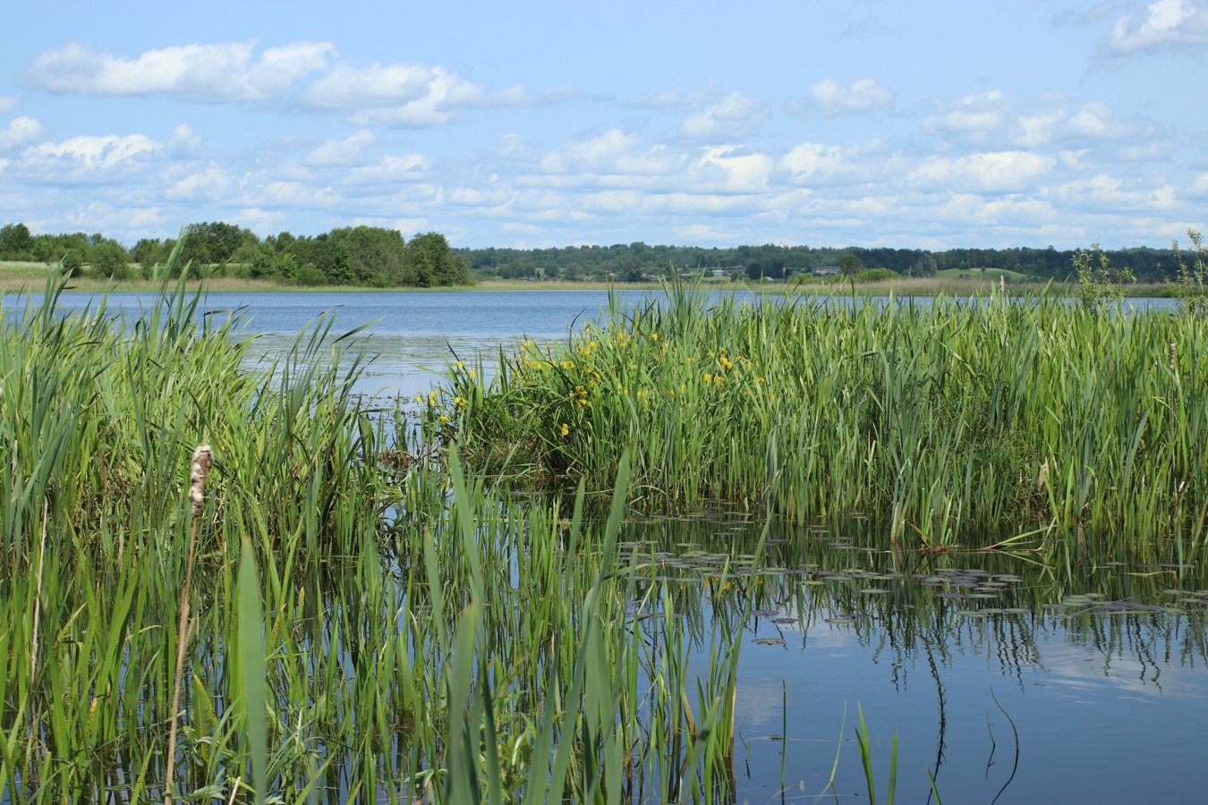 Езерище и окрестности, image of landscape/habitat.