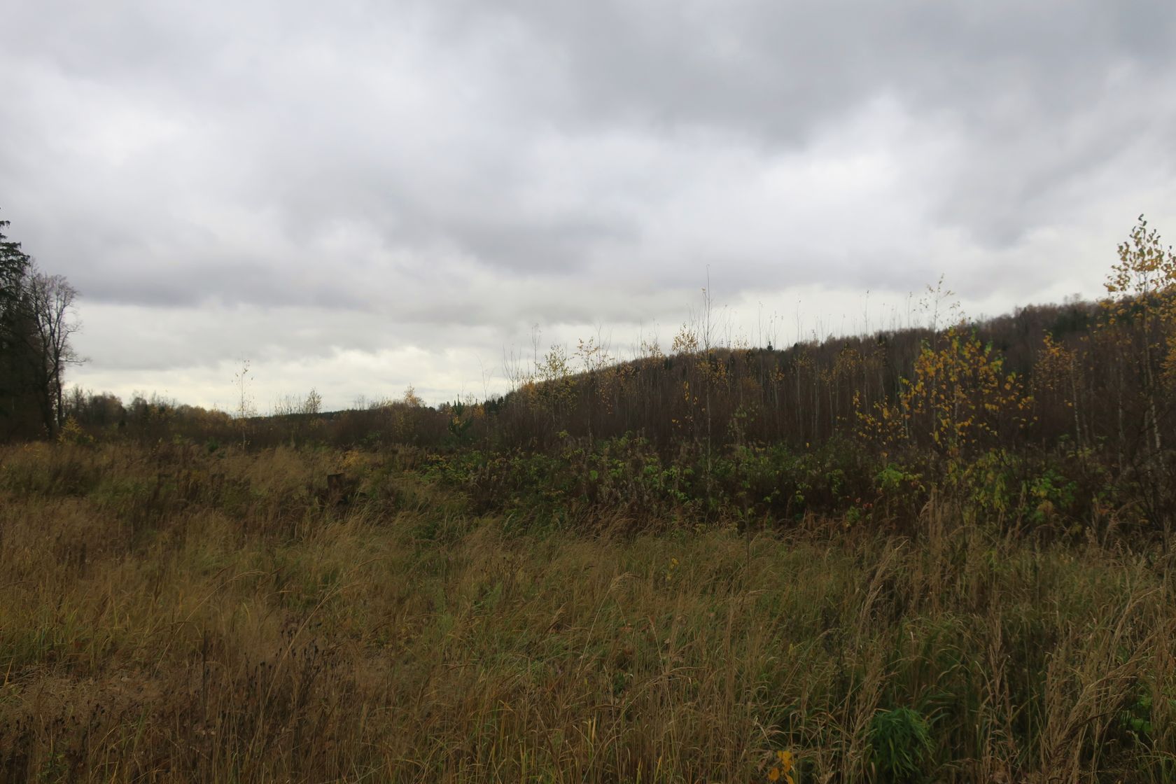 6-й км Красноармейского шоссе, изображение ландшафта.