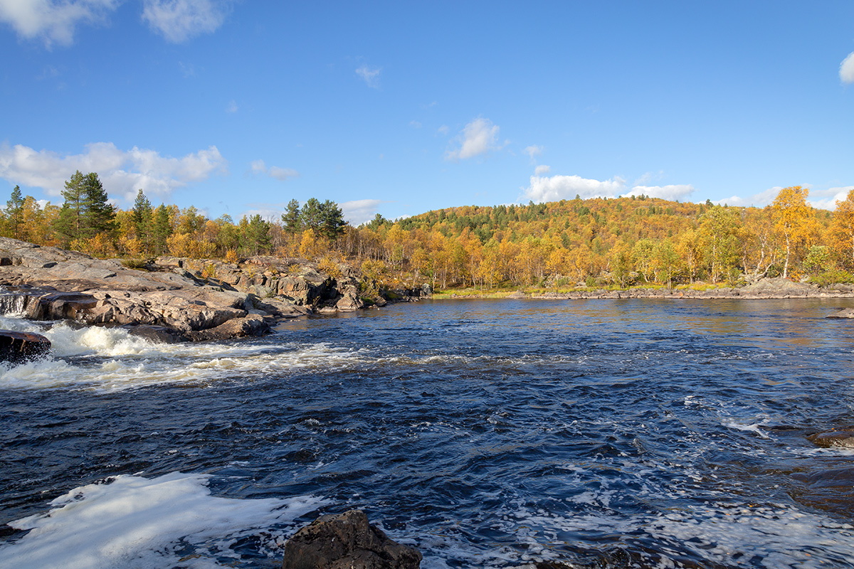Река Ура, image of landscape/habitat.