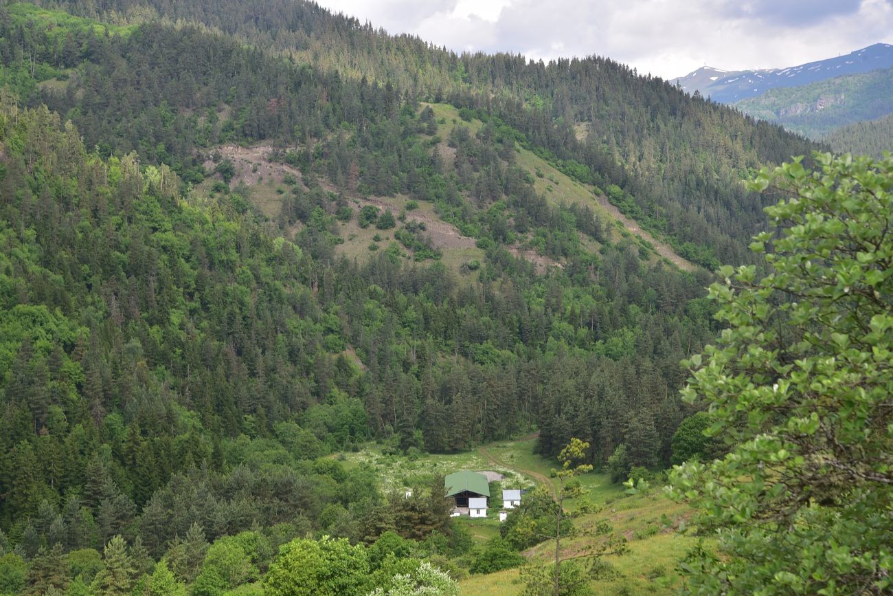 Цинубанская баня, image of landscape/habitat.