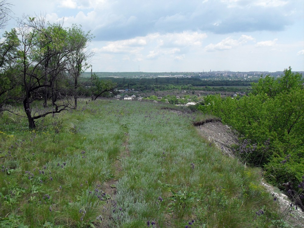 Луганск и окрестности, image of landscape/habitat.