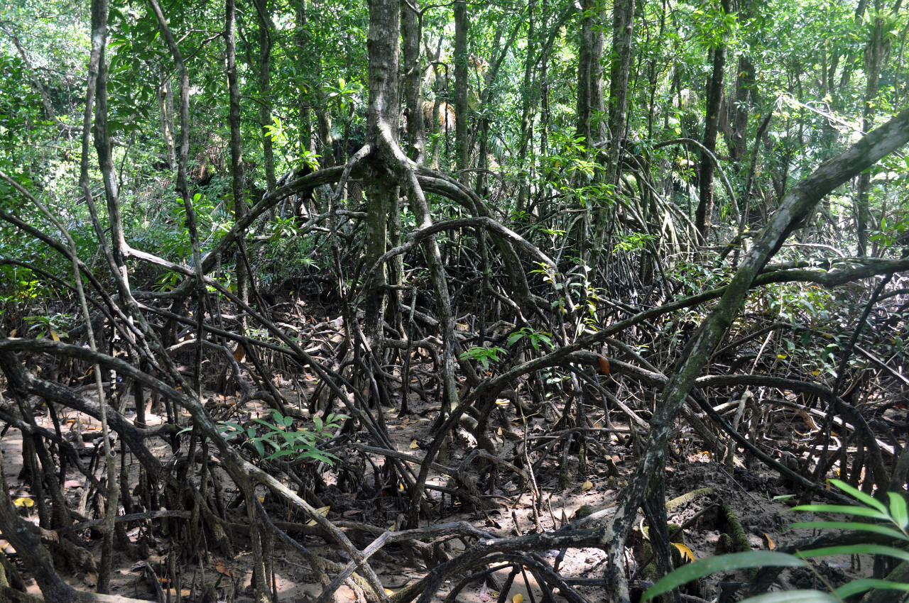 Национальный парк "Бако", image of landscape/habitat.