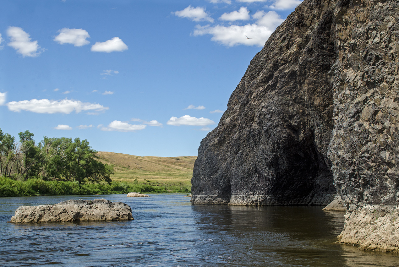 Ершовский, image of landscape/habitat.