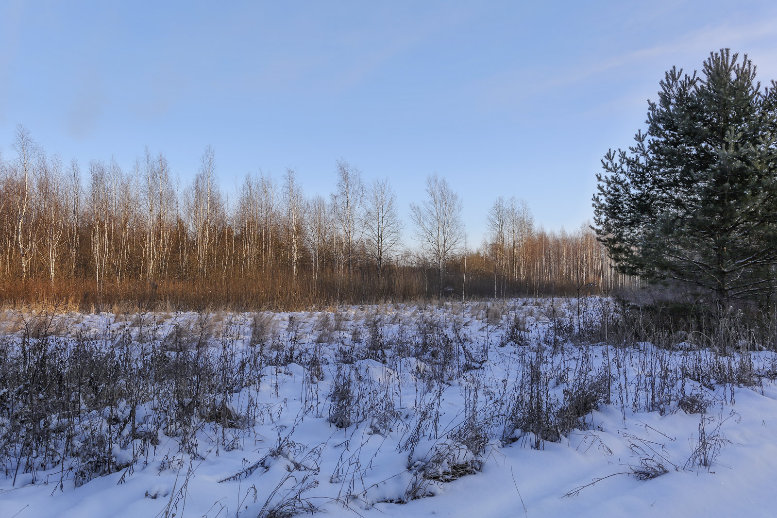 Закамск, image of landscape/habitat.