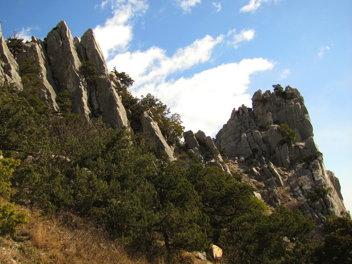 Гора Кошка, image of landscape/habitat.