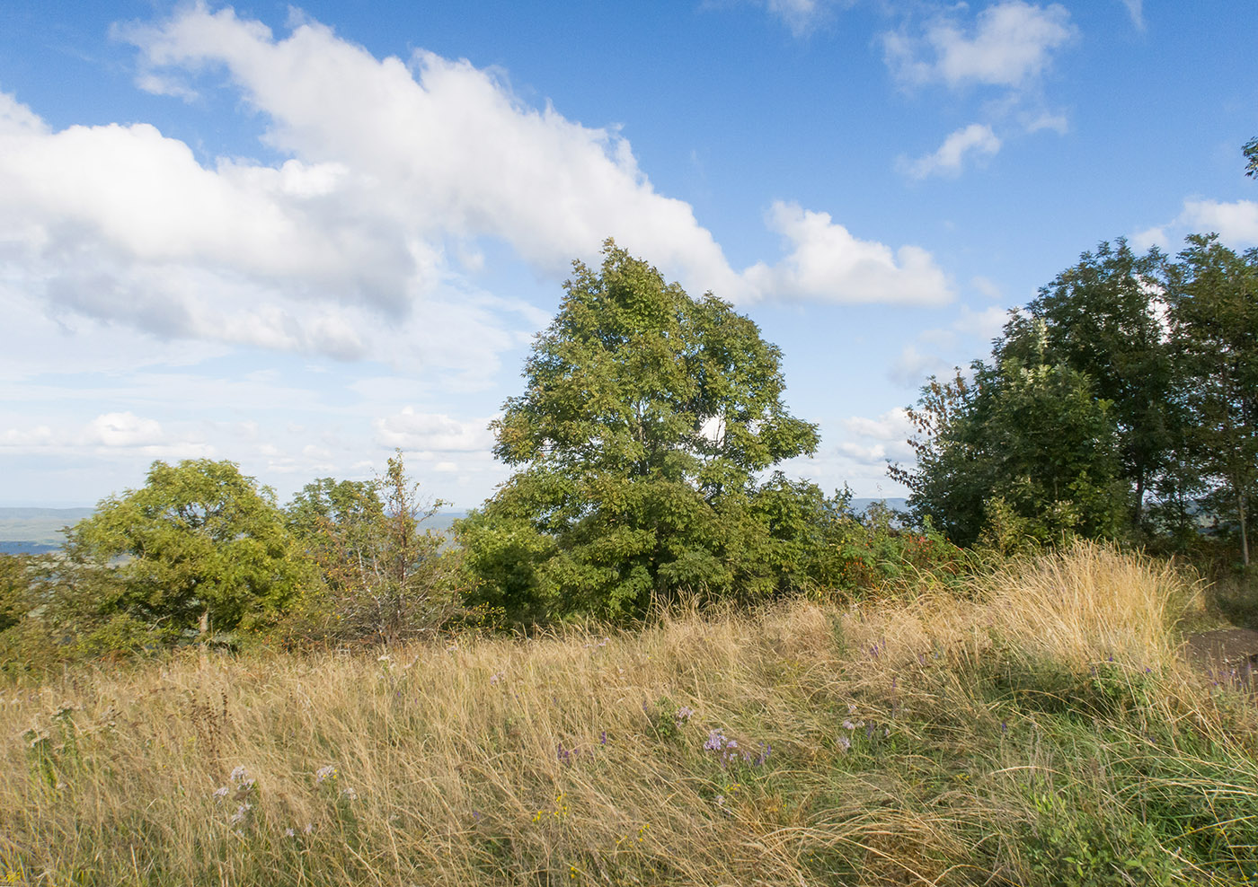 Шпиль, image of landscape/habitat.