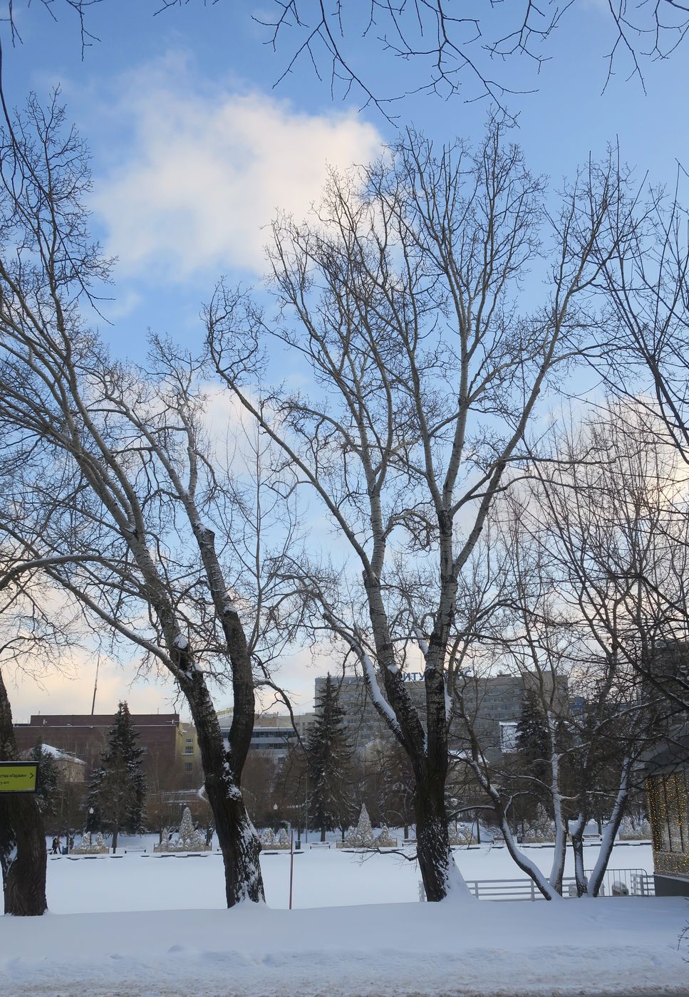 Парк Горького, image of landscape/habitat.