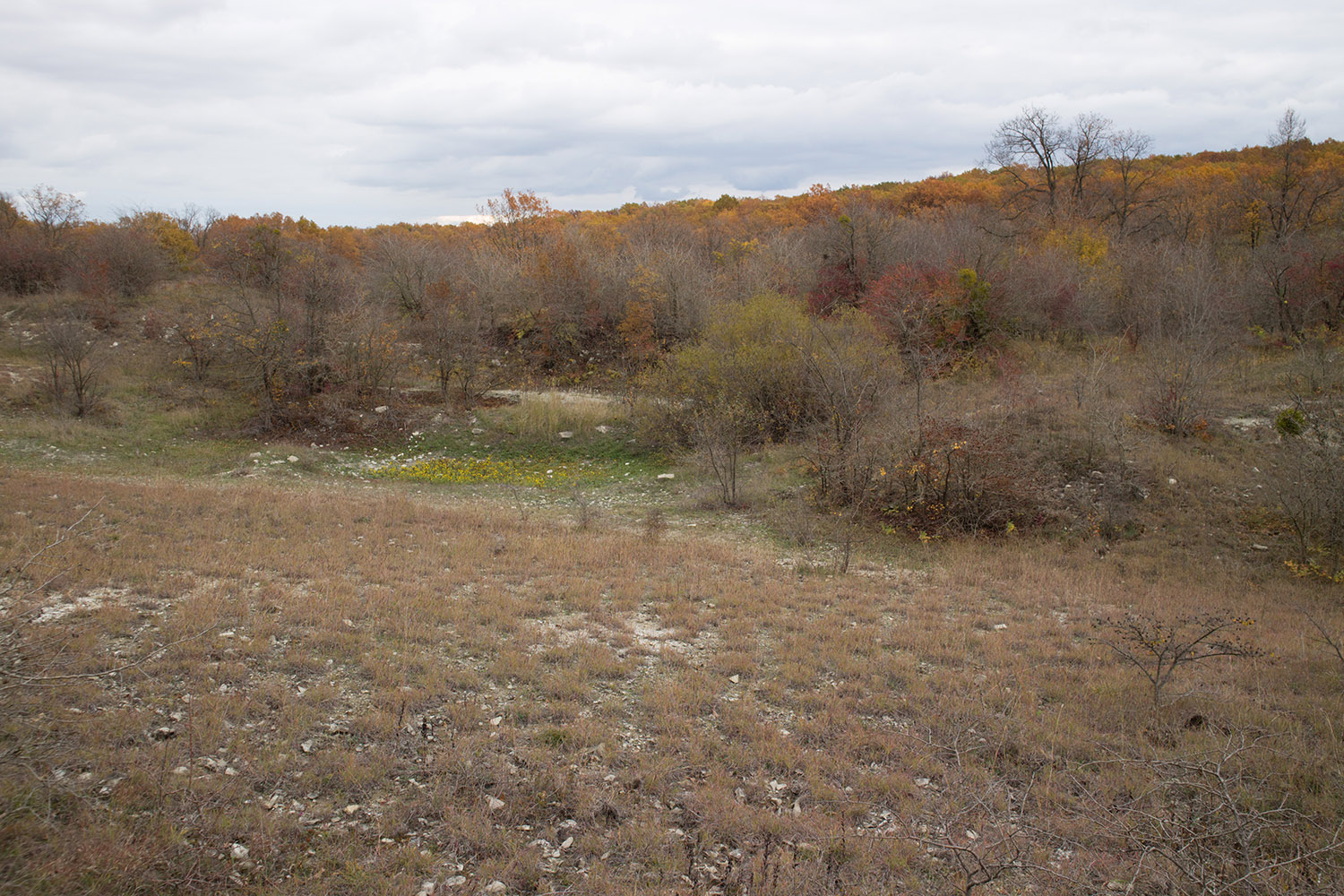 Озерцо на дне карьера, image of landscape/habitat.