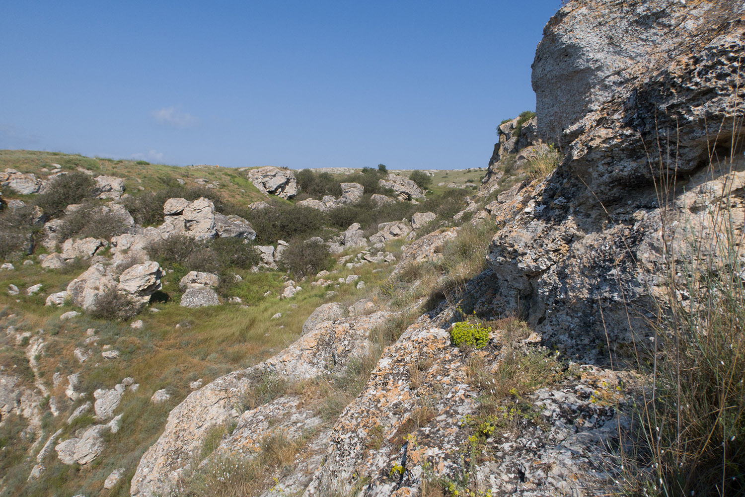 Казантип, image of landscape/habitat.