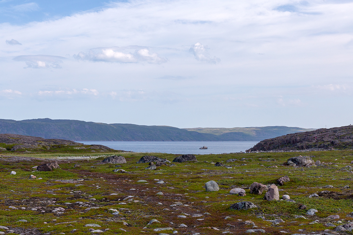 Териберка, image of landscape/habitat.
