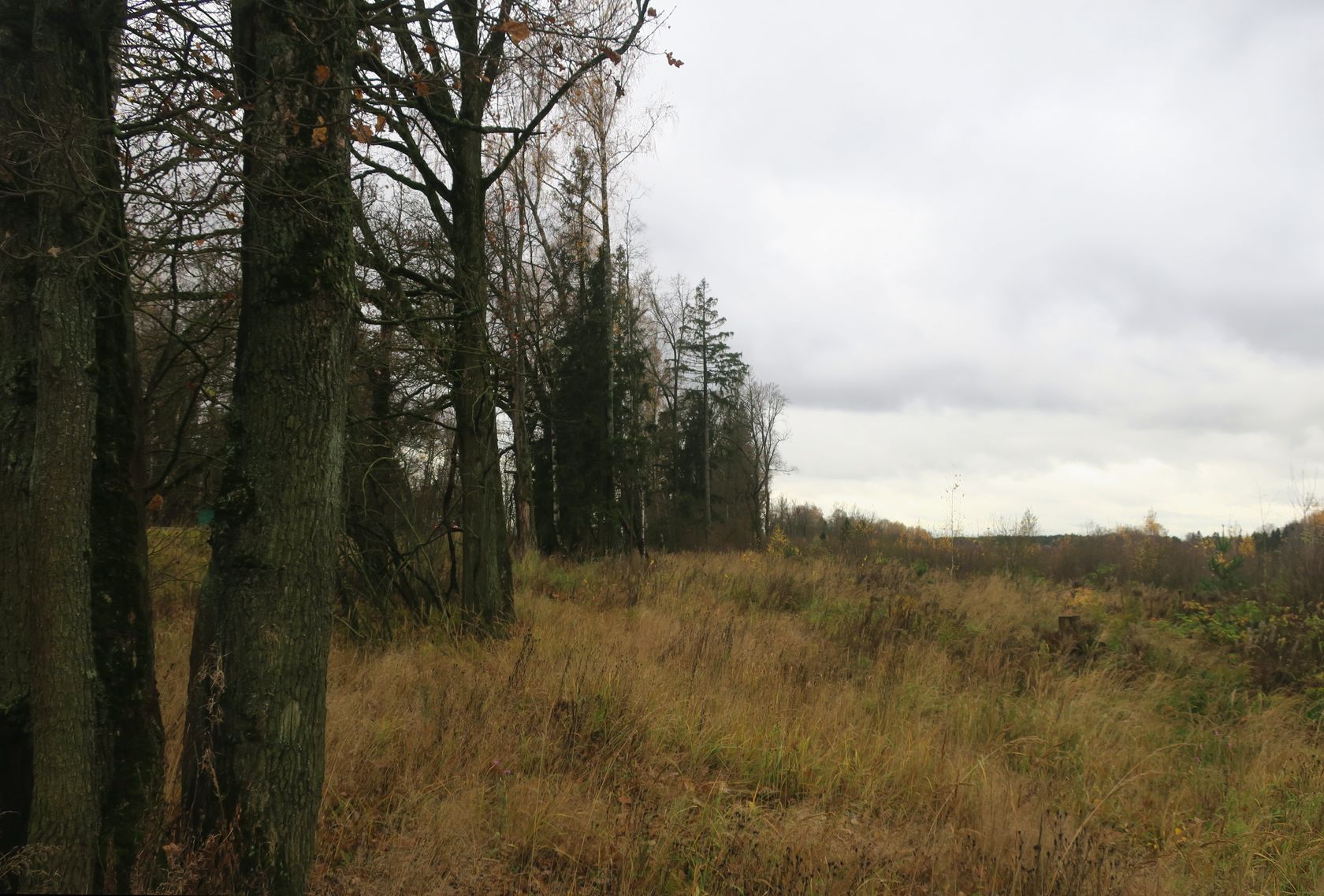 6-й км Красноармейского шоссе, изображение ландшафта.