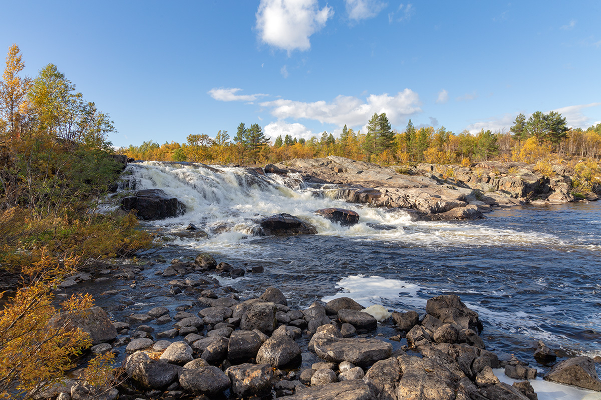 Река Ура, image of landscape/habitat.